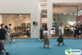 2025深圳家具展展商名录