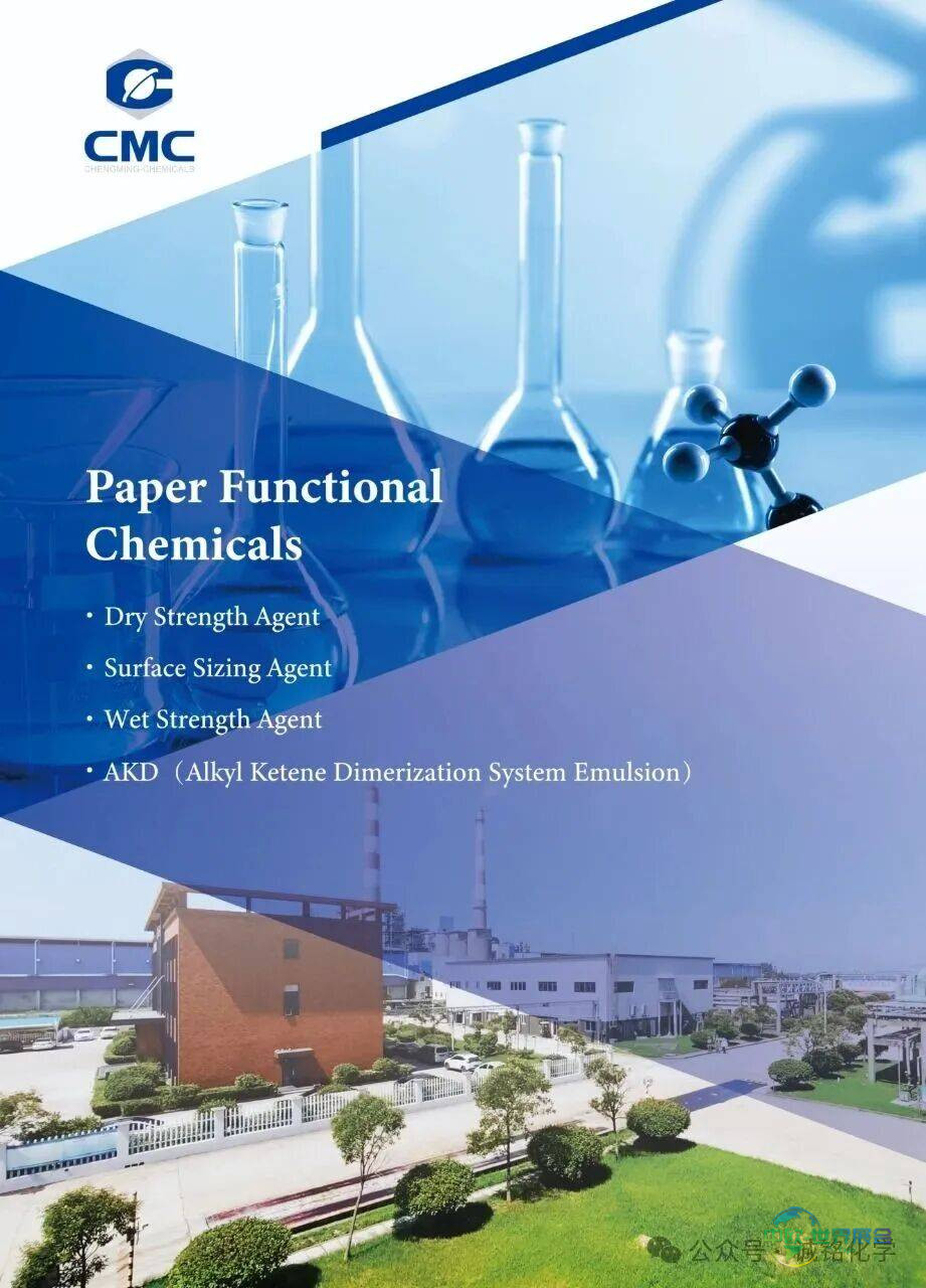诚铭化学展会回顾|“2025年印尼国际造纸和印包工业展览会”圆满收官！