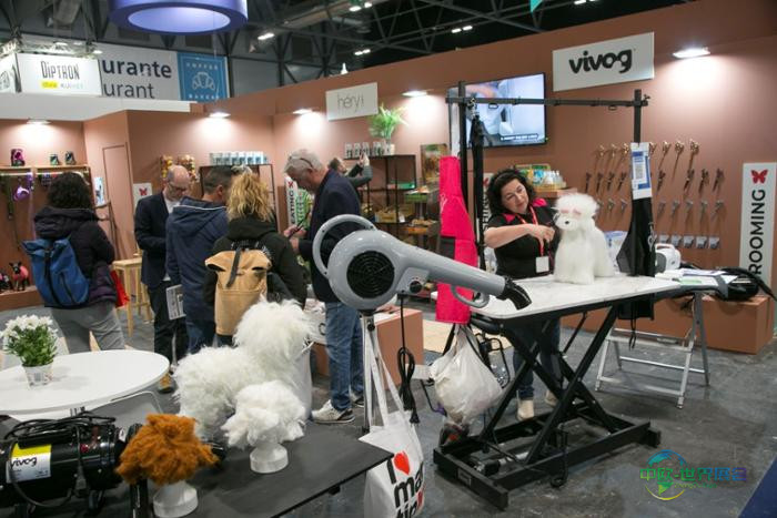 伊比兹奥宠物展现场图片