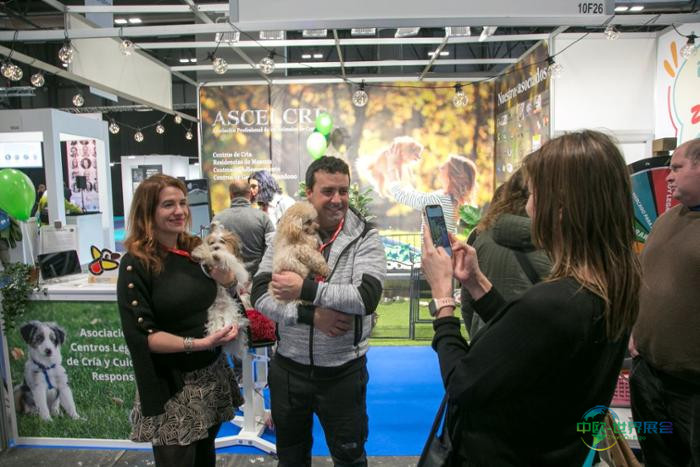 伊比利亚宠物展现场图片