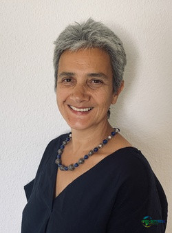 “有效的电网规划是能源转型成功与安全的支柱”