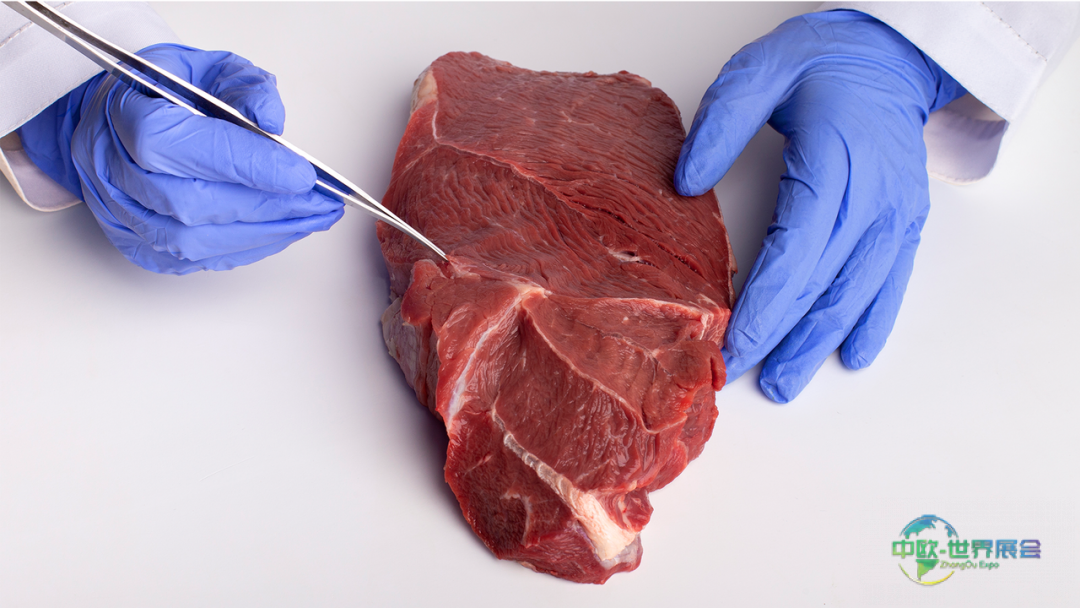 2025年法国巴黎国际健康产品原料展览会：创新与洞察的盛宴