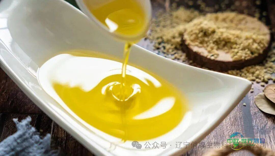 SSW 2025｜中美俏牌携手惊艳美国国际天然原料展览会