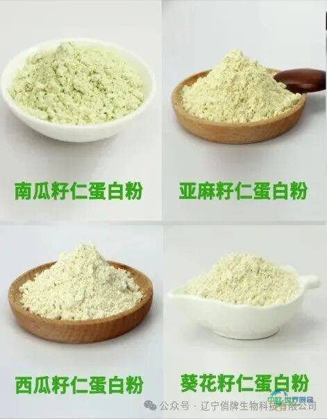 SSW 2025｜中美俏牌携手惊艳美国国际天然原料展览会