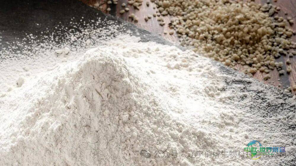 SSW 2025｜中美俏牌携手惊艳美国国际天然原料展览会