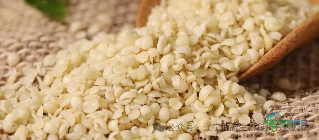 SSW 2025｜中美俏牌携手惊艳美国国际天然原料展览会