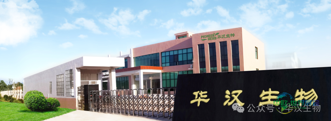 圆满收官！华汉生物在 2025 SupplySide Global美国天然健康和创新原料展绽放健康原料新活力！