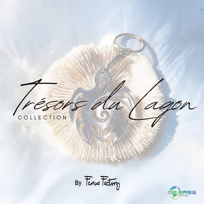 2026巴黎海洋沙龙：探索海洋文化艺术之旅