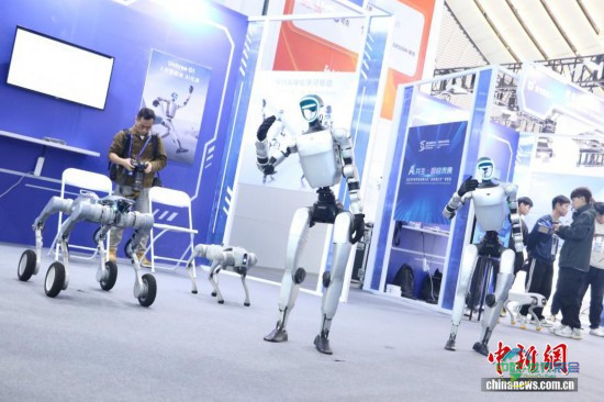 中新社记者 胡丰盛 摄