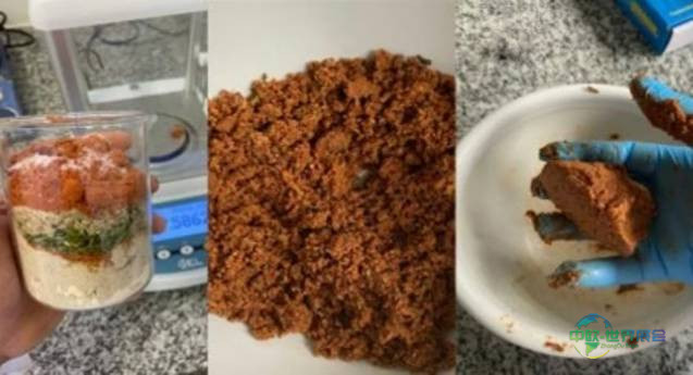 2026年阿拉伯联合酋长国迪拜国际食品加工机械展览会：以葵花籽粉为基础的“纯素肉”