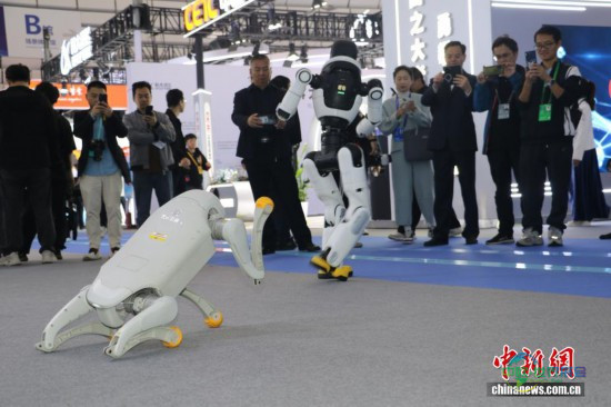 中新社记者 胡丰盛 摄