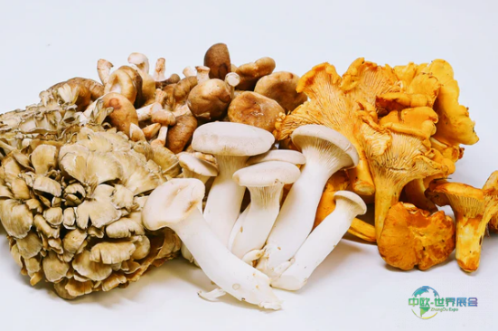 2025年美国国际天然健康原料展明日启幕，陕西富恒生物FocusHerb邀您共探创新合作商机