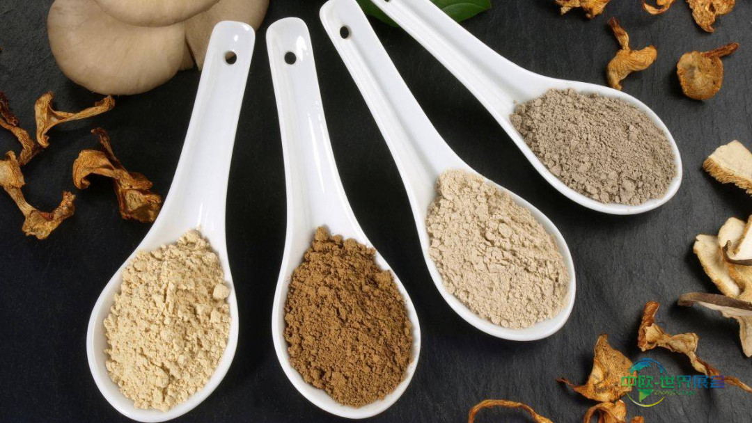 德国科隆国际有机食品展览会：The Better Meat Co.引领未来肉类替代品潮流