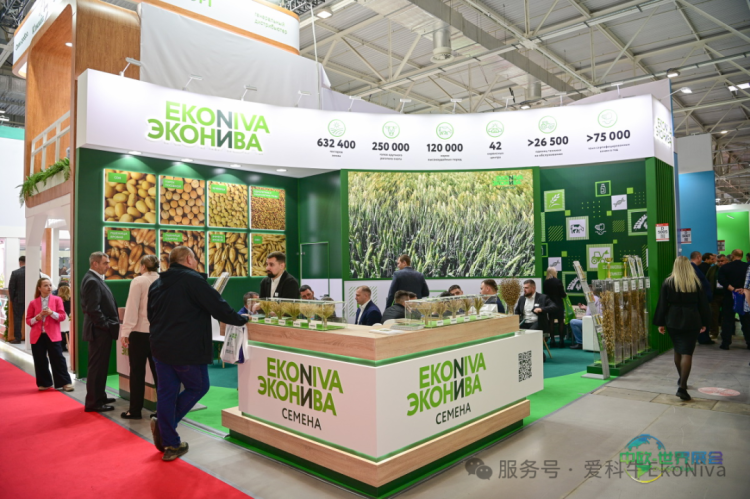 2025俄罗斯农业展收官！爱科牛携优质种子与多款农机惊艳亮相