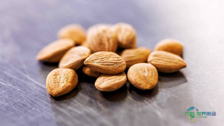 德国科隆国际食品及饮料展览会：从果核到超级食品