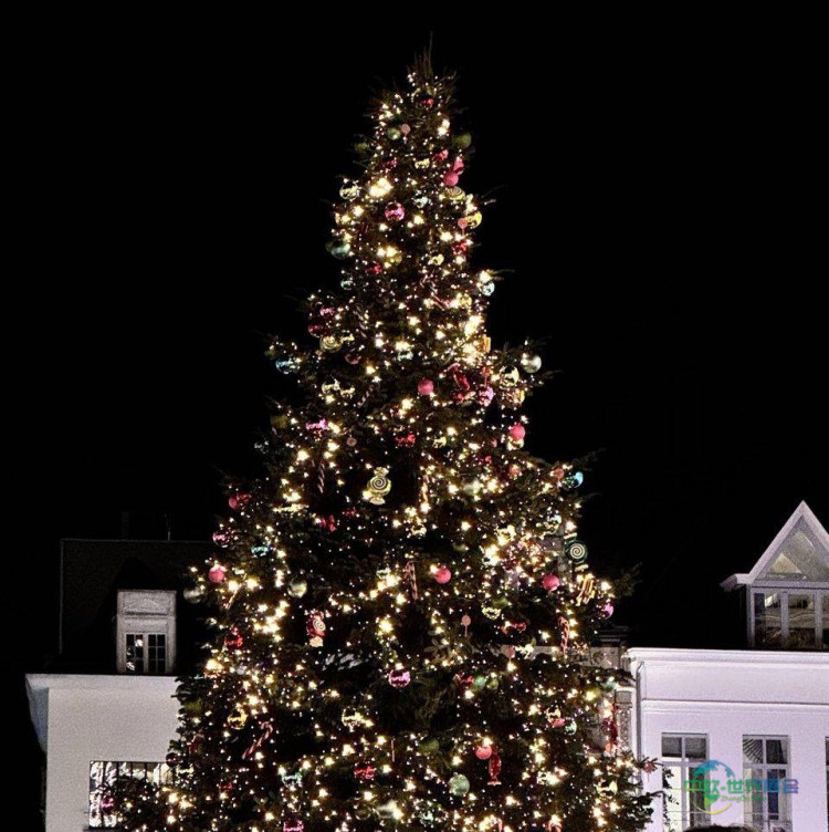 2026年澳大利亚墨尔本国际建材及家居用品（4月）展览会：提前感受节日氛围