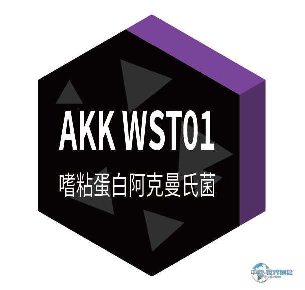 均瑶润盈携AKK菌重磅成果亮相法国Fi Europe 2025欧洲食品配料展！以科研实力引领益生菌创新