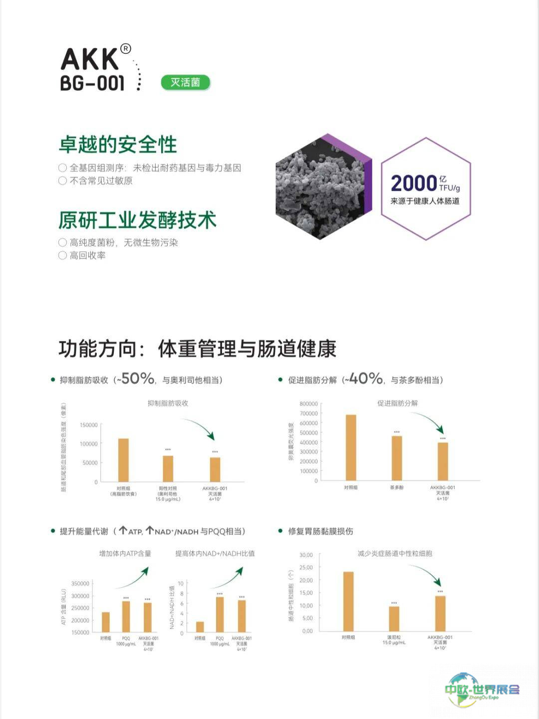 均瑶润盈携AKK菌重磅成果亮相法国Fi Europe 2025欧洲食品配料展！以科研实力引领益生菌创新