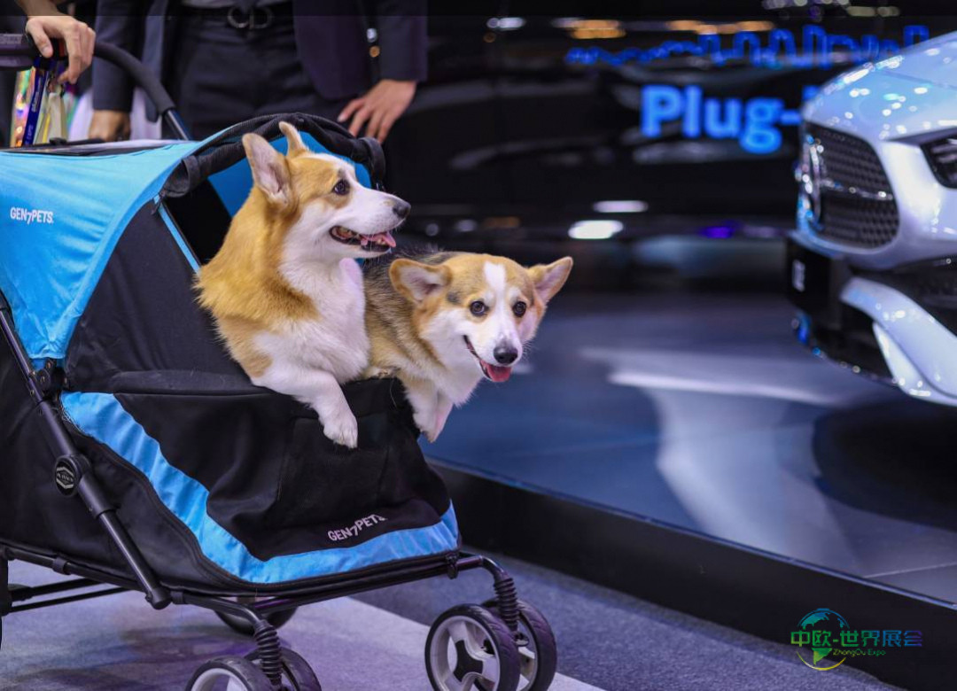 2025年波兰华沙国际电动汽车博览会：特别嘉宾Marek Wieruszewski