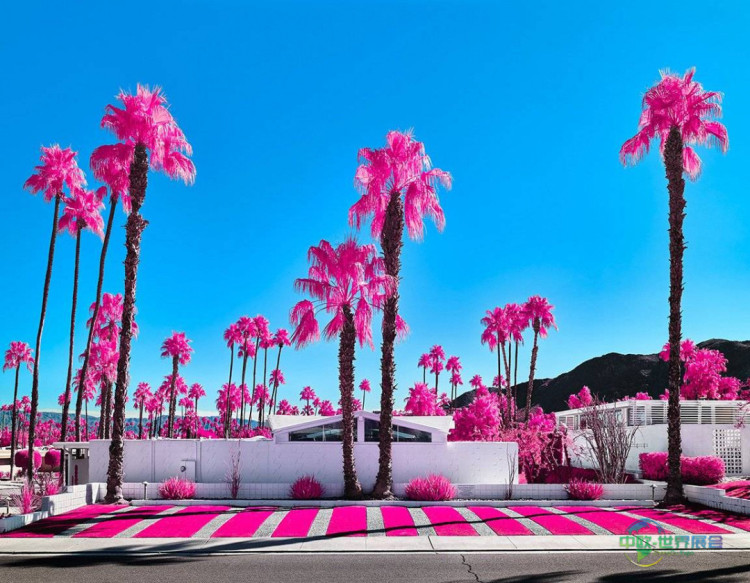 2026年Intersect Palm Springs回归棕榈泉国际美术博览会