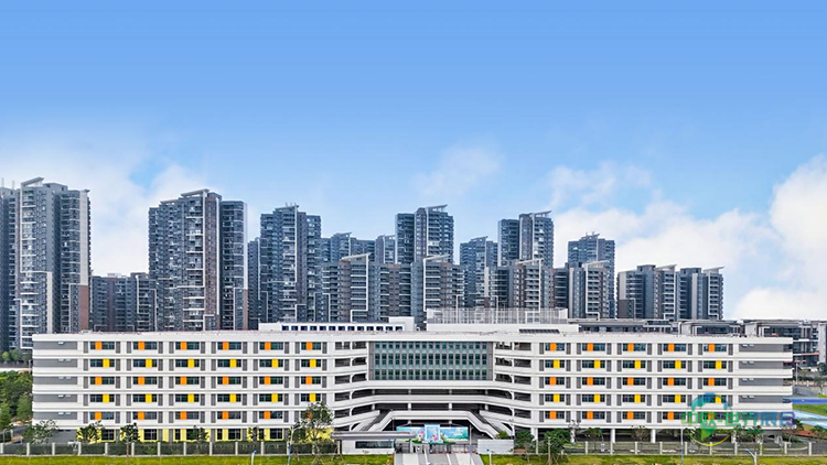 广东仲元中学莲花湾学校。