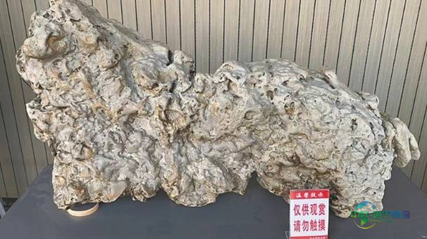 明年1月开幕！2026三亚观赏石博览会精彩看点提前揭秘