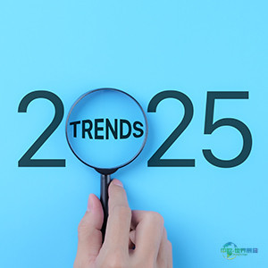 2025年度社交媒体回顾