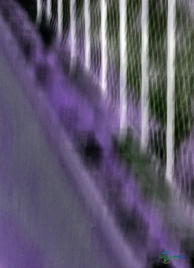 WSN 2026年展会：法巴黎秋季时尚成衣展创新体验