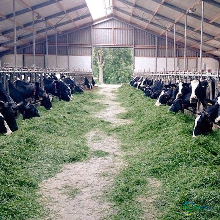 2026乌兹别克斯坦塔什干农展推畜牧业发展