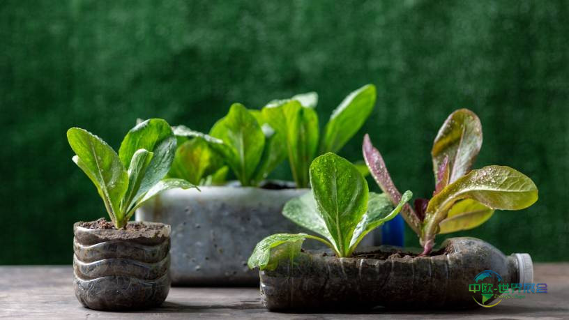 德国科隆国际食品及饮料展览会：Ecotrophelia Europe 2025创新食品与可持续发展相遇