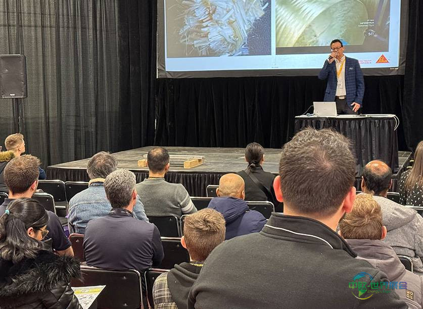 2025年巴西圣保罗国际混凝土技术及设备展览会：混凝土路面在巴西住房项目中的战略应用