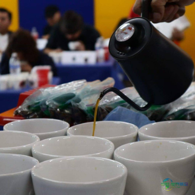 2025年墨西哥墨西哥城国际咖啡展览会：Expo Café风味奖