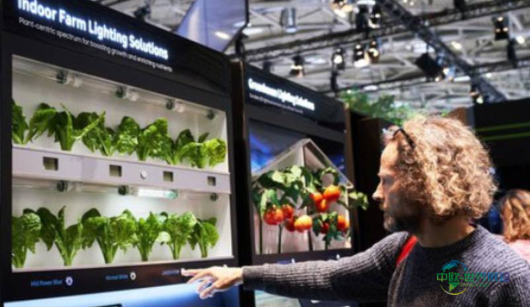 2025年印度班加罗尔国际电子元器件及生产设备展览会：吸引全球关注