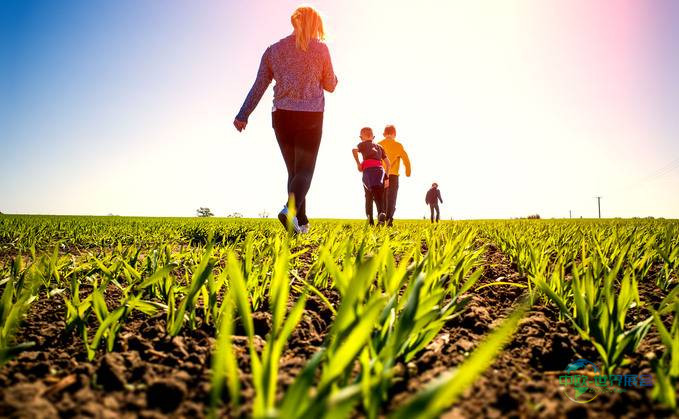 英国创新农业展：报告呼吁摆脱悲观循环