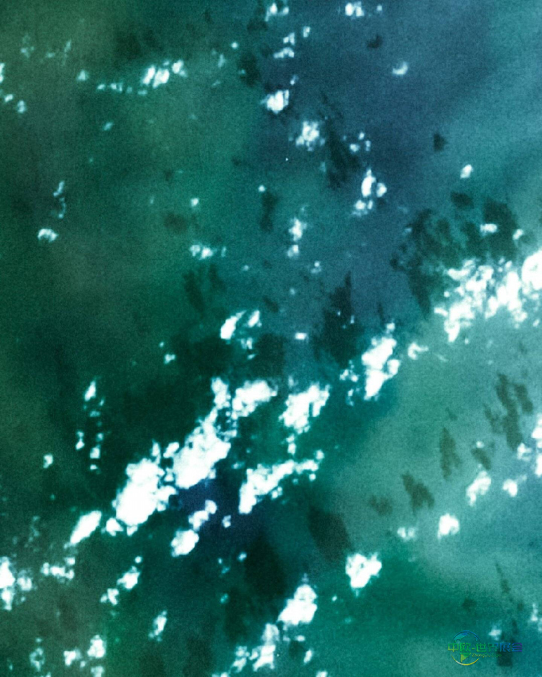 2026年里米尼国际环保技术展览会：便捷出行指南