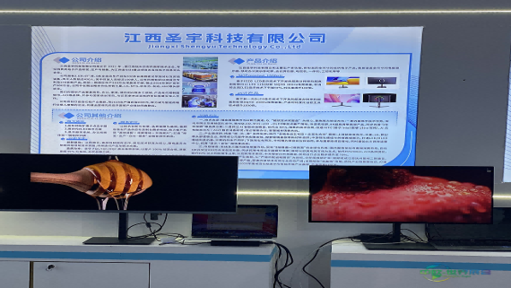 圣宇科技现身2025世界绿色发展博览会：数字视觉助力可持续明天