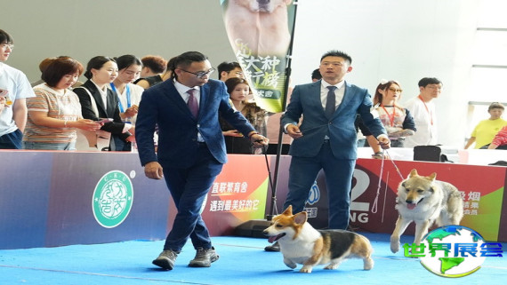 2026西安宠物展观众预先登记现已启动，精彩盛事即将呈现！