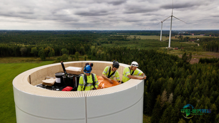 木材——能源行业的变革者