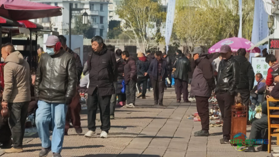 屯溪区第三届艺术收藏博览会与第二届徽州漆艺非遗展拉开帷幕