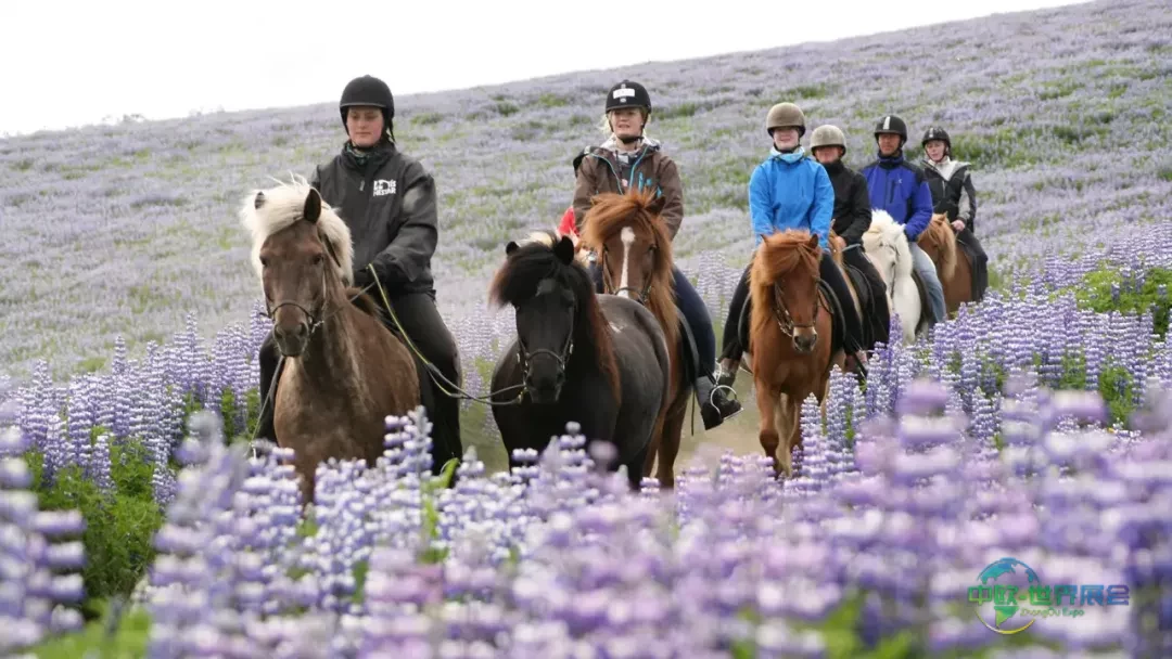 丹麦海宁国际旅游展骑岛活动2026年展会介绍