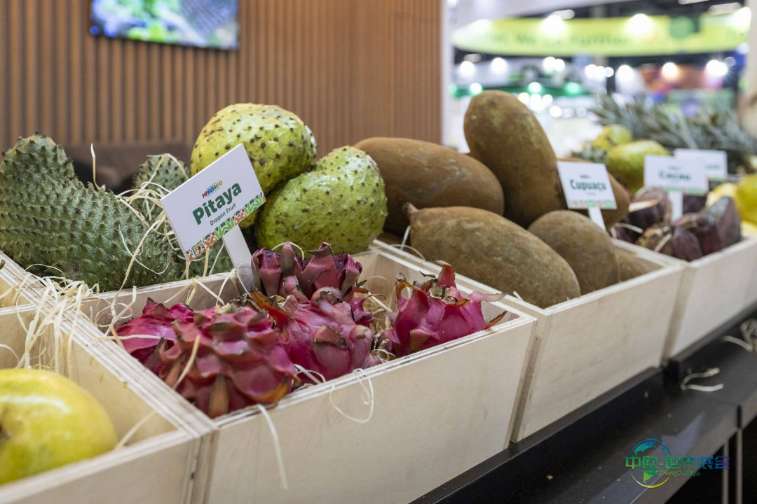 2026年水果蔬菜产业盛会：巴西圣保罗国际果蔬展览会前瞻