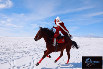 贺娇龙同志不幸意外离世