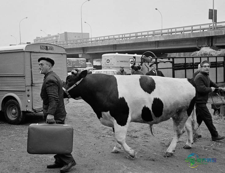 2026年巴黎农展聚焦农业现状