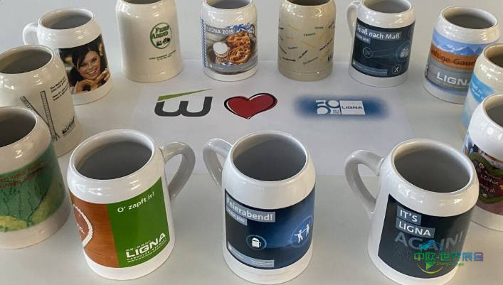 2025年德国汉诺威国际木业机械设备展览会：与WINTERSTEIGER区域销售经理的访谈