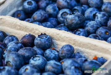 2026云南农资植保博览会