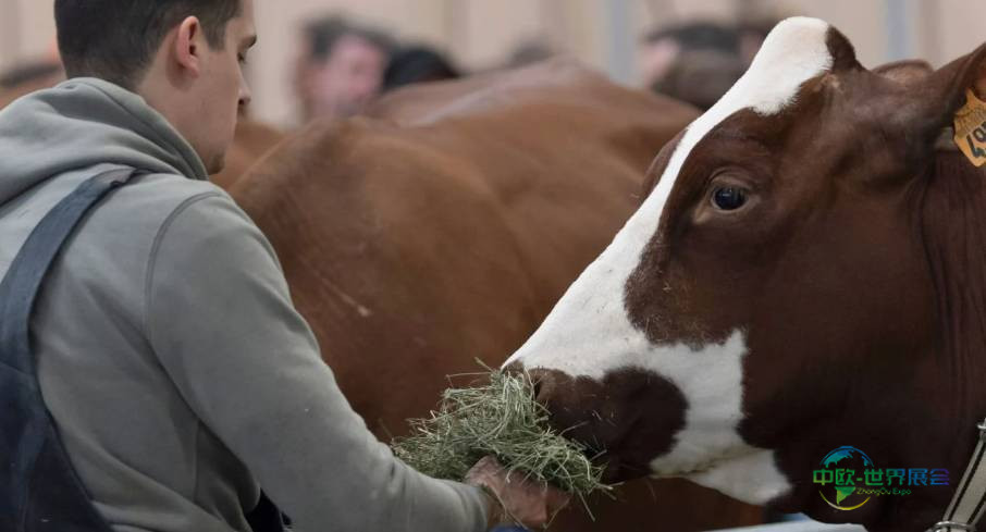 2026年法国巴黎国际农业展览会：演变与传统