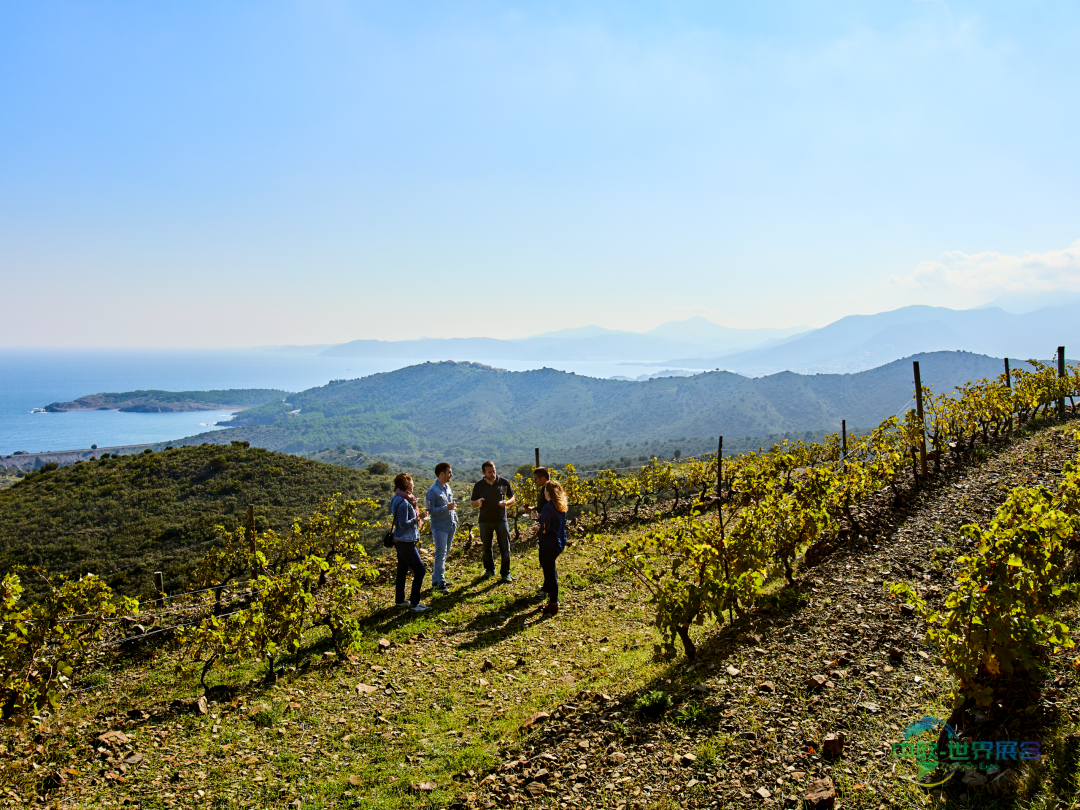 加泰罗尼亚图片