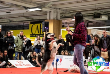 2026年法国宠物展览会参展指南（日程地点/观众预约）