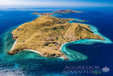 2026年邀您探索深海奥秘——法国巴黎国际海洋沙龙展览会