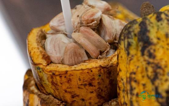 2026年法国巴黎国际农业展览会--深入了解法国农业